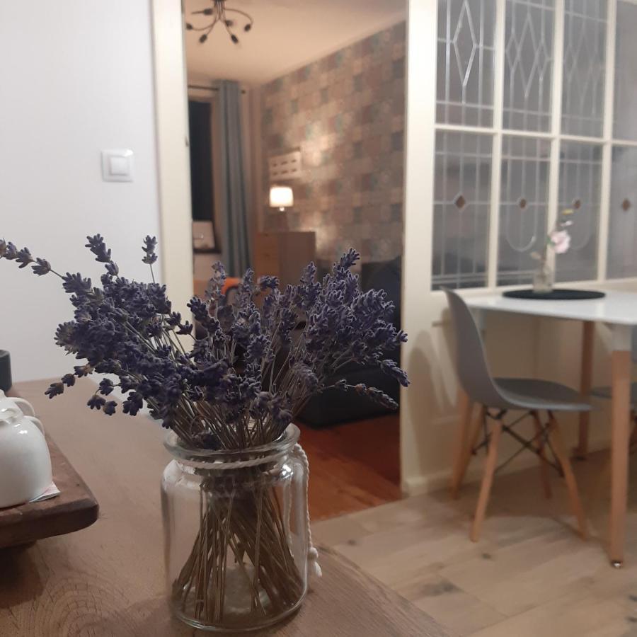 Apartman U Javoru Varnsdorf Exteriör bild